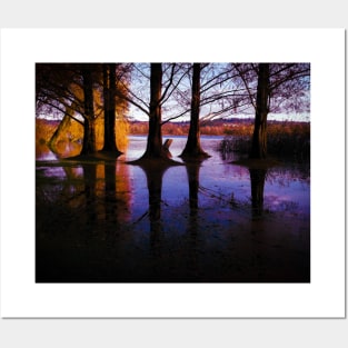 Autumn tree reflection in water landscape photography Posters and Art